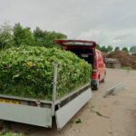 Trailer fuld af hækafklip bag en varebil på en genbrugsplads