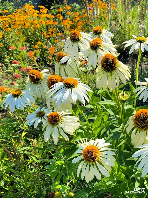 Blomsterbinderens snitblomster i gul/hvid