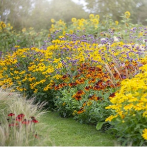 Blomsterbinderens snitblomster i gul