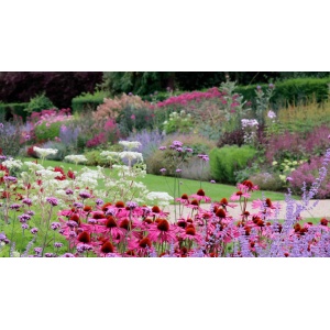 Blomsterbinderens snitblomster i rød/rosa