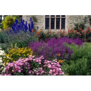 Blomsterbinderens snitblomster i blandede farver