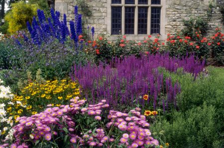 Blomsterbinderens snitblomster i blandede farver